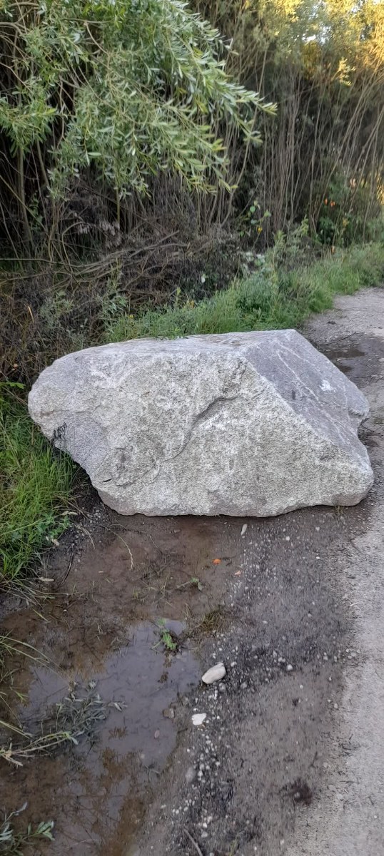 Záhradné dekorácie